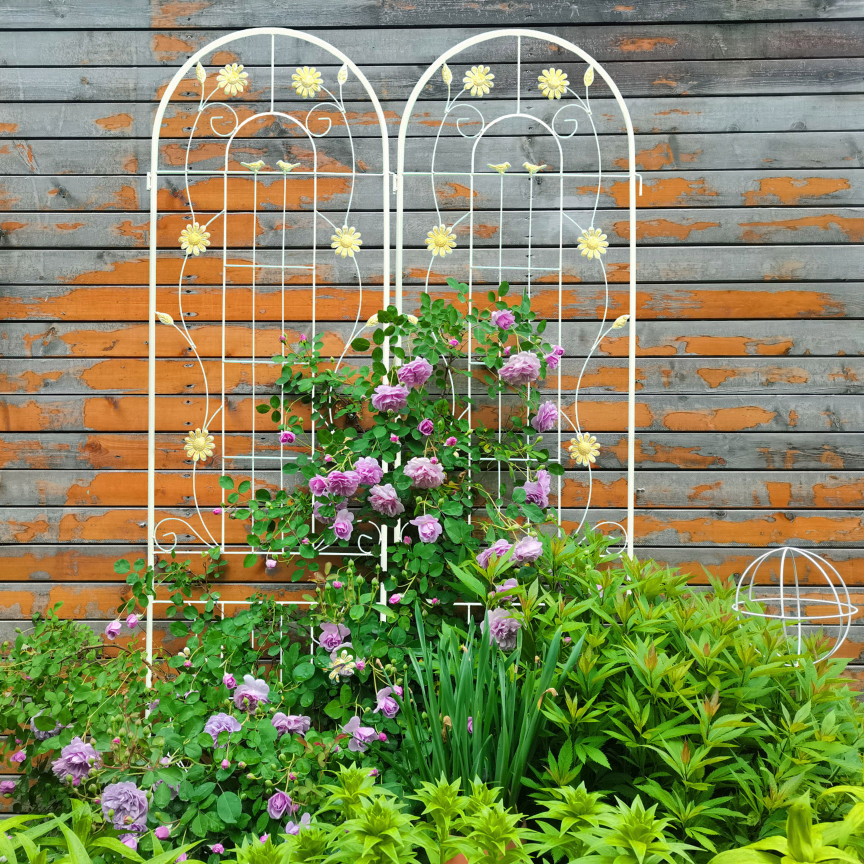 Red Barrel Studio Zeilin 86.7 "H x 80" W Trellis, 4 PACK & Reviews